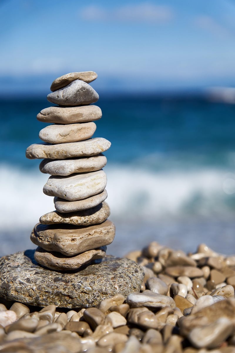 Balanced Ecosystem Designs
