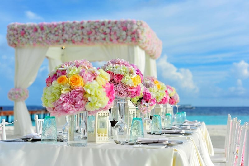 Outdoor Canopy