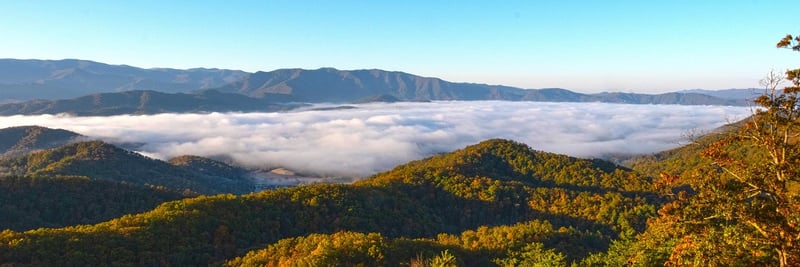 Great Smoky Mountains Fall Foliage