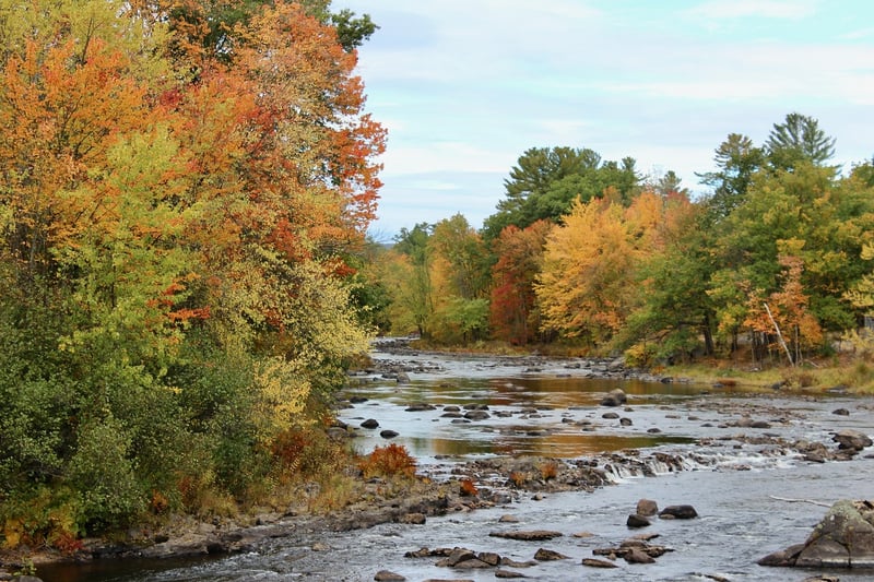 New England Fall Foliage